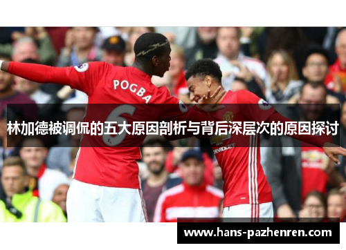 林加德被调侃的五大原因剖析与背后深层次的原因探讨 林加德被调侃的五大原因剖析与背后深层次的原因探讨
