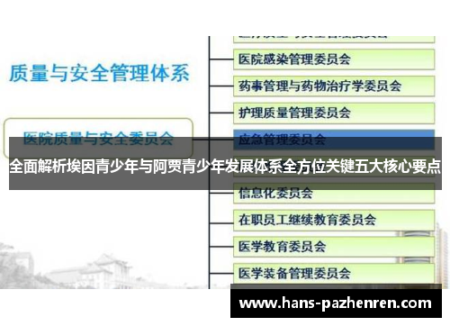 全面解析埃因青少年与阿贾青少年发展体系全方位关键五大核心要点