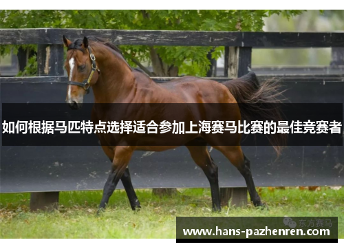 如何根据马匹特点选择适合参加上海赛马比赛的最佳竞赛者