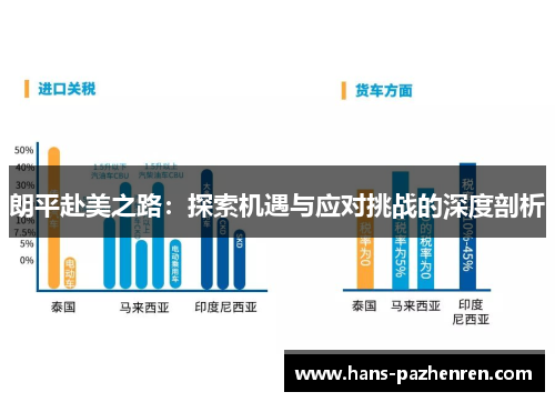 朗平赴美之路：探索机遇与应对挑战的深度剖析
