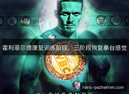霍利菲尔德康复训练阶段,三阶段恢复拳台感觉 霍利菲尔德康复训练阶段,三阶段恢复拳台感觉